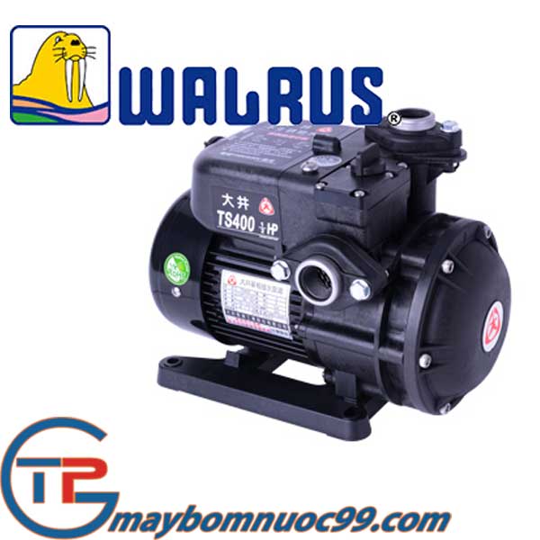 Máy bơm đẩy cao Walrus TS