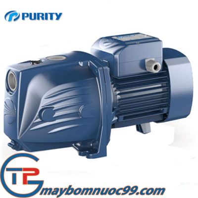 Hình ảnh máy bơm tự hút đầu Jet Purity