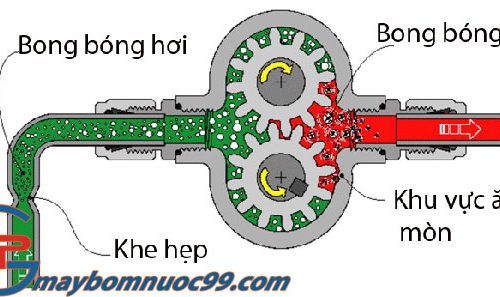 hiện tượng xâm thực là gì