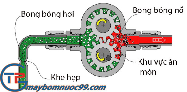 Hình ảnh hiện tượng xâm thực là gì