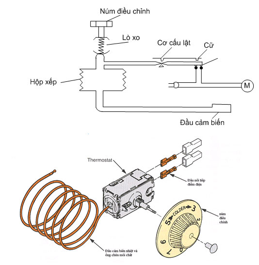 Cấu tạo rơ le (relay) nhiệt