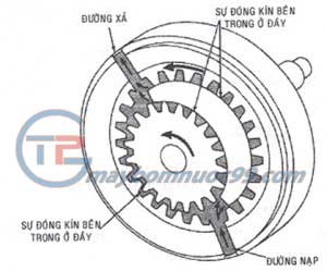 Máy bơm bánh răng ăn khớp trong