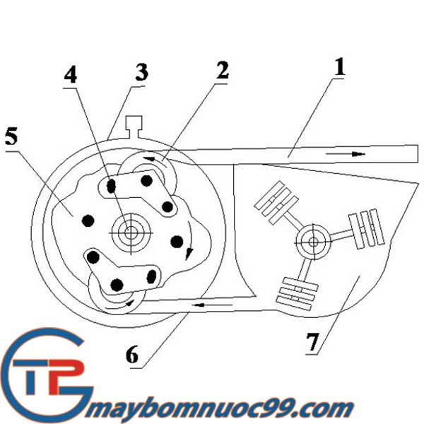 Máy bơm bê tông kiểu roto