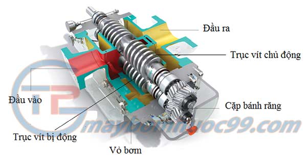 máy bơm ba trục vít