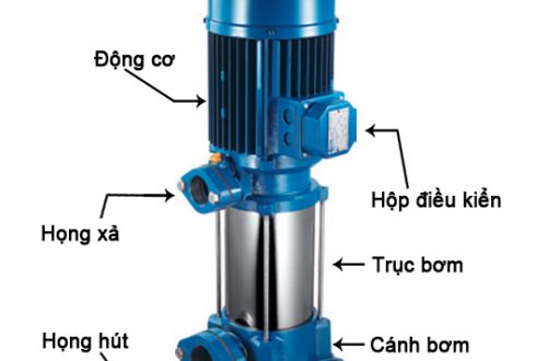 Cấu tạo máy bơm ly tâm trục đứng