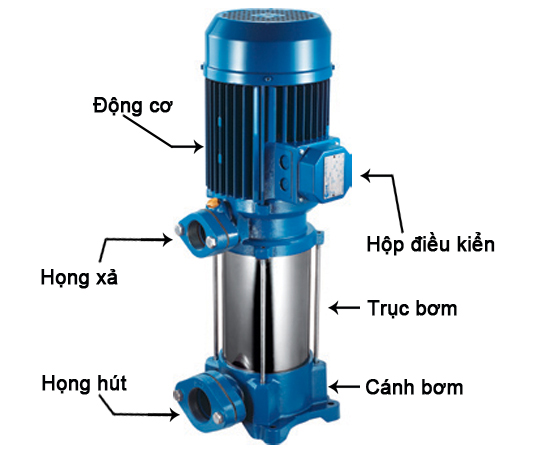 Cấu tạo máy bơm ly tâm trục đứng