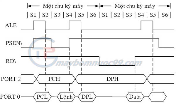 Giản đồ thời gian của chu kỳ tìm nạp lệnh ở bộ nhớ dữ liệu ngoài