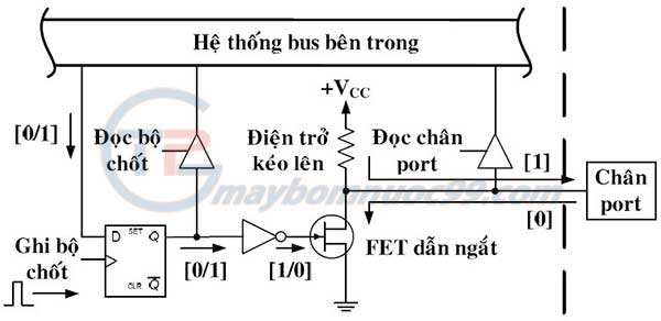 Thao tác ghi chân port