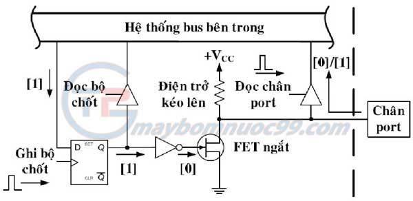 Thao tác đọc chân port