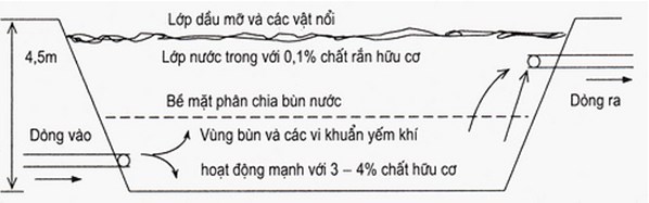 Hồ kị khí