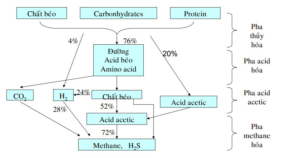 cơ chế hình thành khí biogas