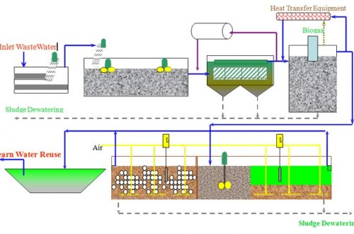 Xử lý nước thải bằng vi sinh vật