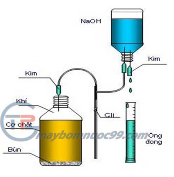 Mô hình thí nghiệm dạng mẻ