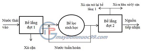 Quy trình tuần hoàn nước vào bể lọc