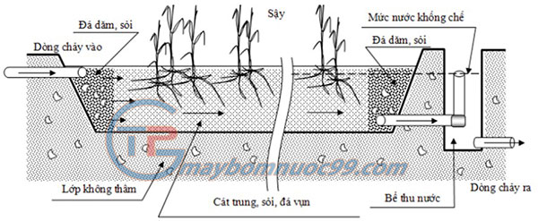 Đất ngập nước chảy ngầm theo phương ngang