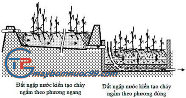 Hệ thống đất ngập nước kiến tạo