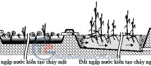 Hệ thống đất ngập nước nhân tạo