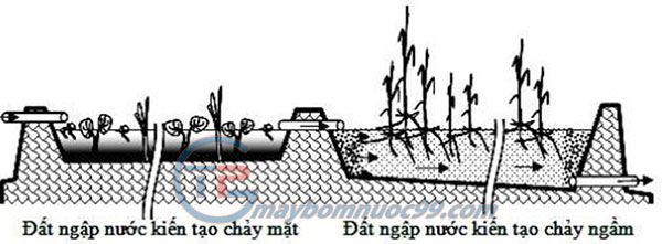 Hệ thống đất ngập nước nhân tạo