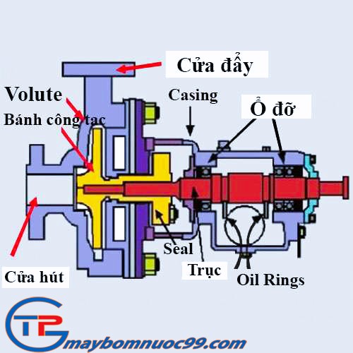 Cấu tạo bơm ly tâm trục ngang