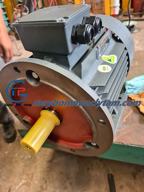 Motor điện QM Trung Quốc