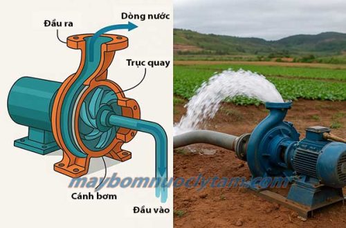 Máy bơm nước ly tâm là gì