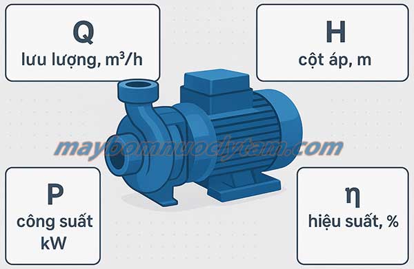 Cách đọc và hiểu bảng thông số kỹ thuật máy bơm nước