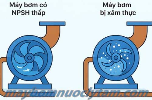 Máy bơm có hệ số NPSH thấp