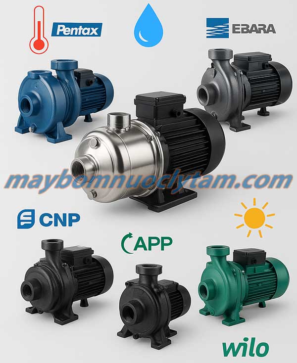 Top 5 dòng máy bơm nước nóng đáng mua