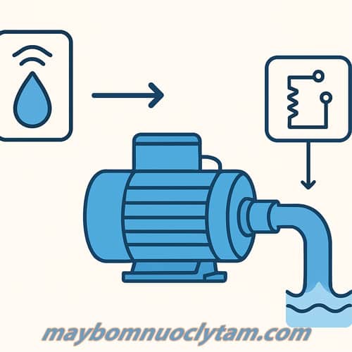 Máy bơm nước tự ngắt khi cạn
